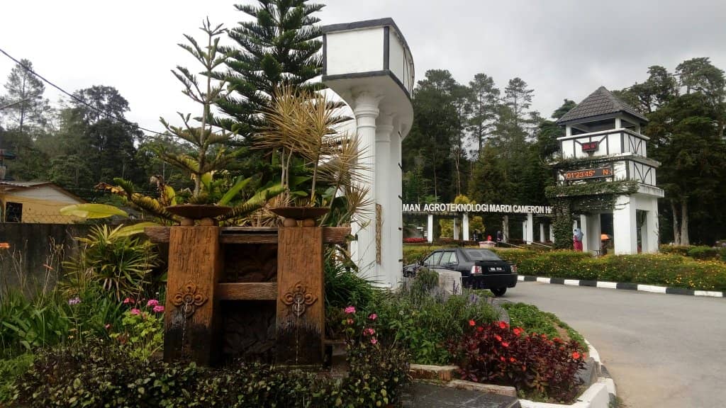 Strawberry & Fruit Farms