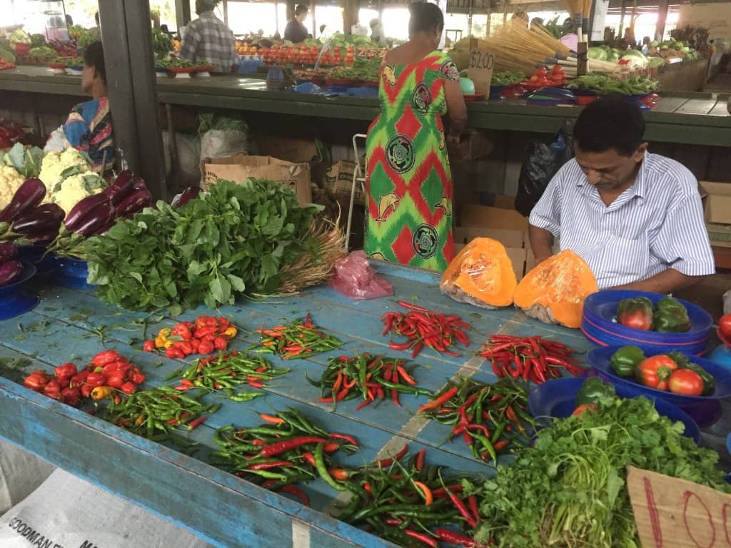 Authentic Local Experience