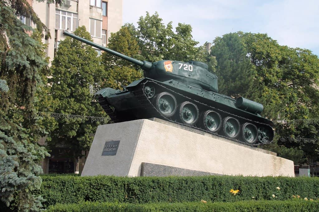 Chisinau's Grooming Hub