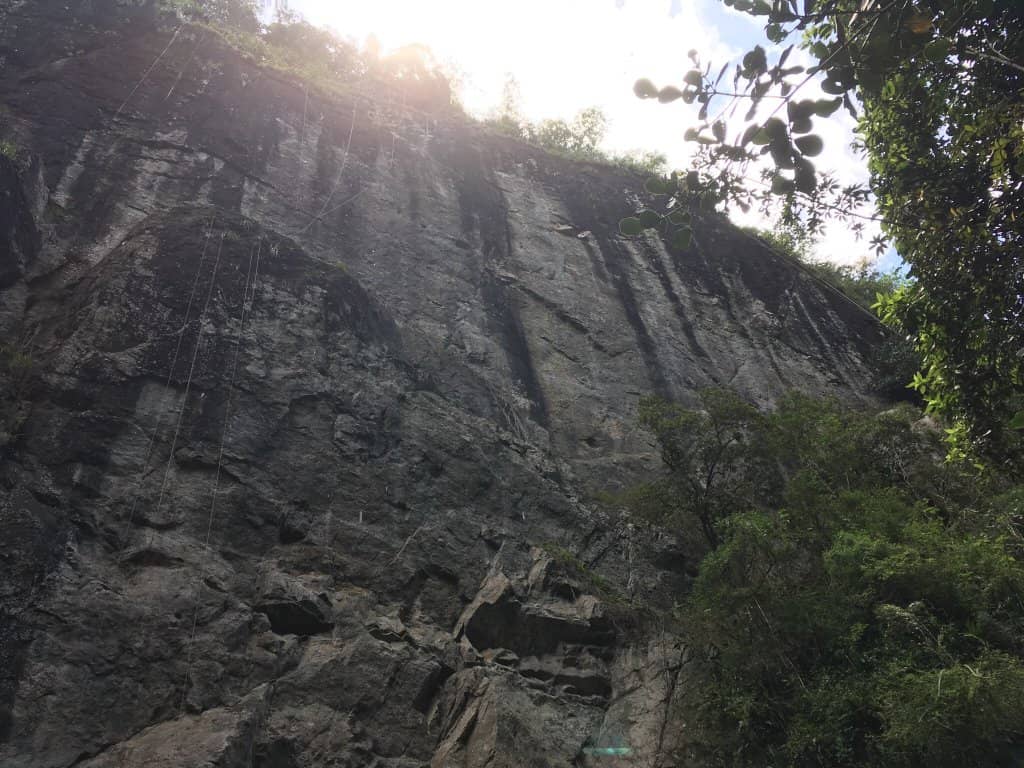 Vertical photo