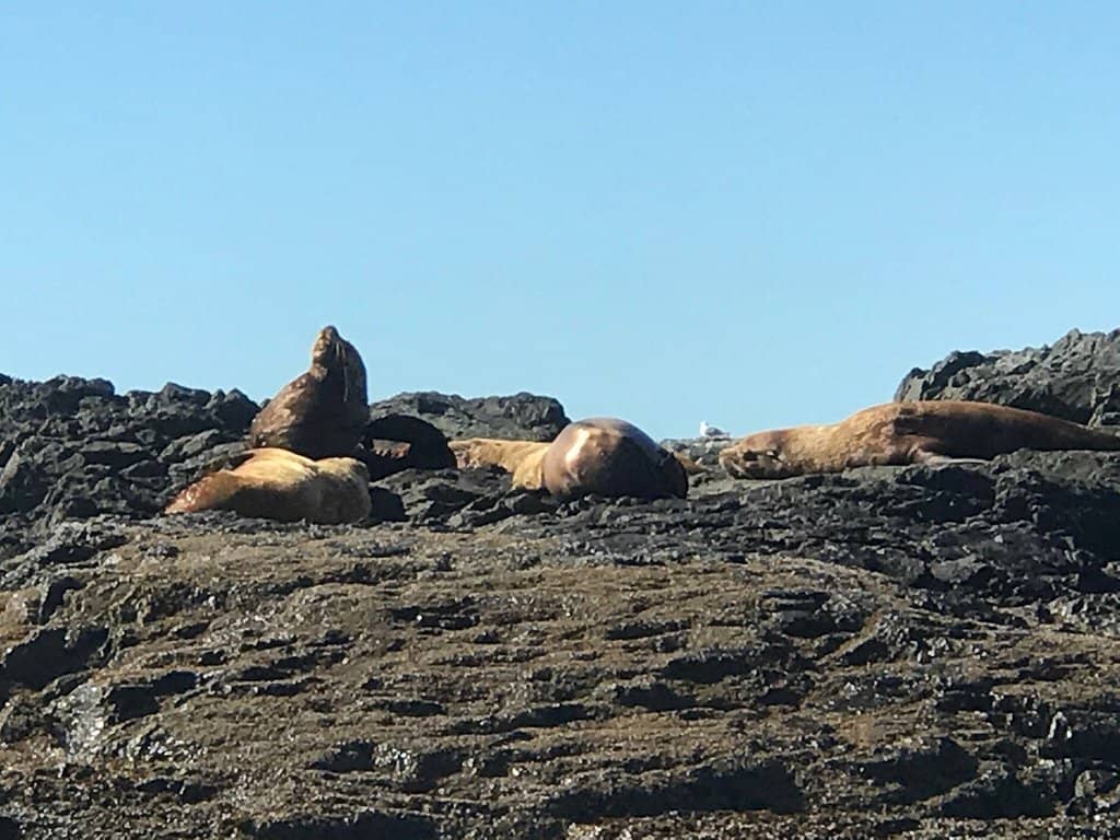 Scenic Boat or Seaplane Journey