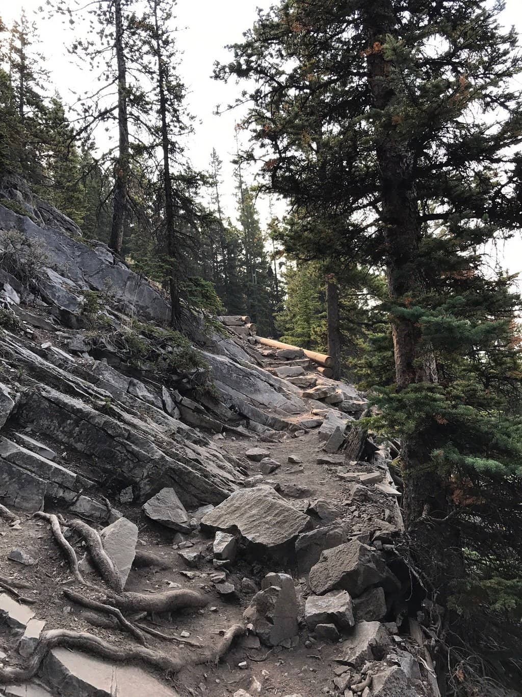 Ha Ling Peak Summit