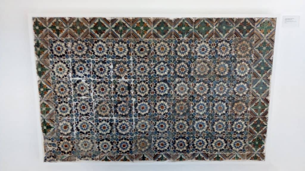 Taxidermy Collection