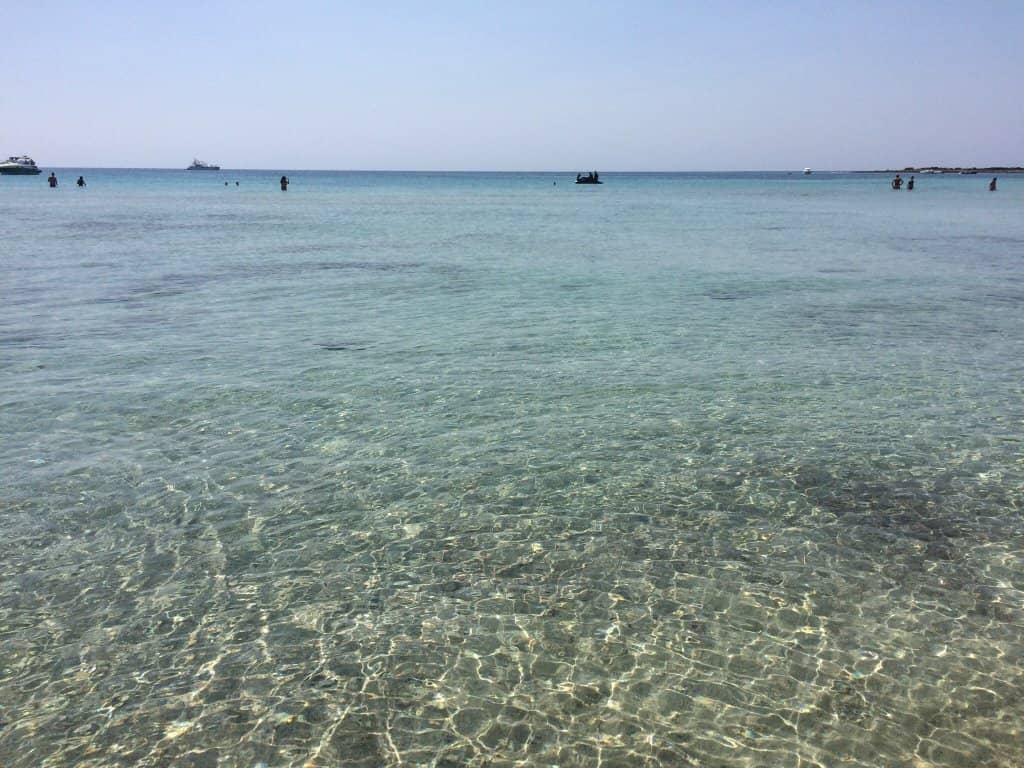 Mediterranean Scrub