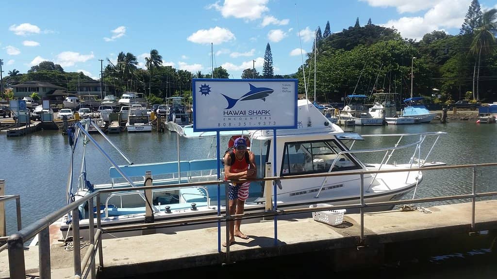Tiger Shark Sightings