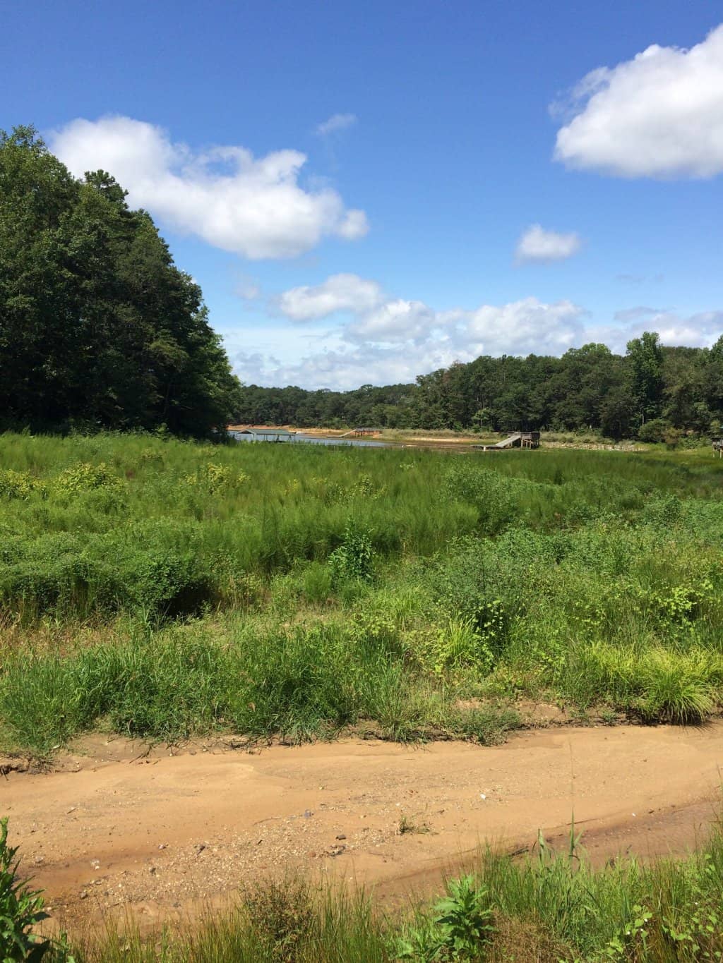 Lakeside Picnic Spots