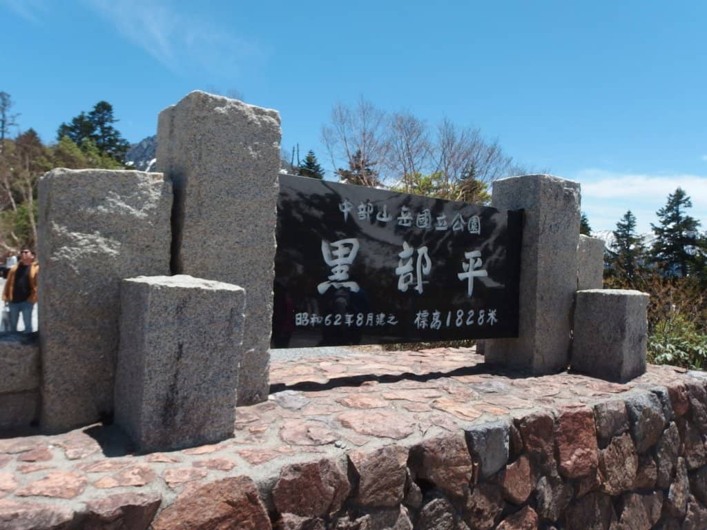 Unique Chocolate Ice Cream