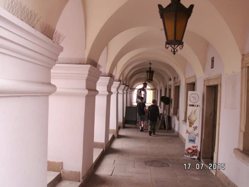 Vertical photo