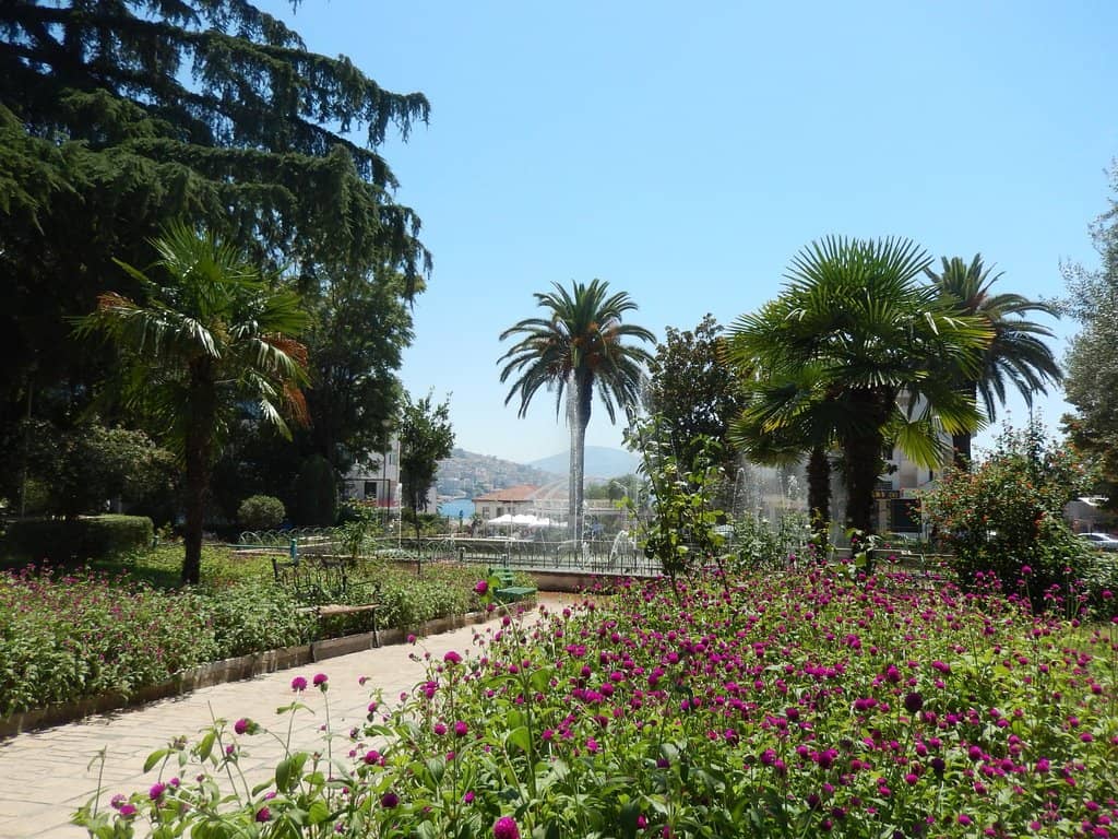 Balboa Park's Cultural Hub