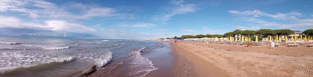 Vibrant Beachfront Promenade