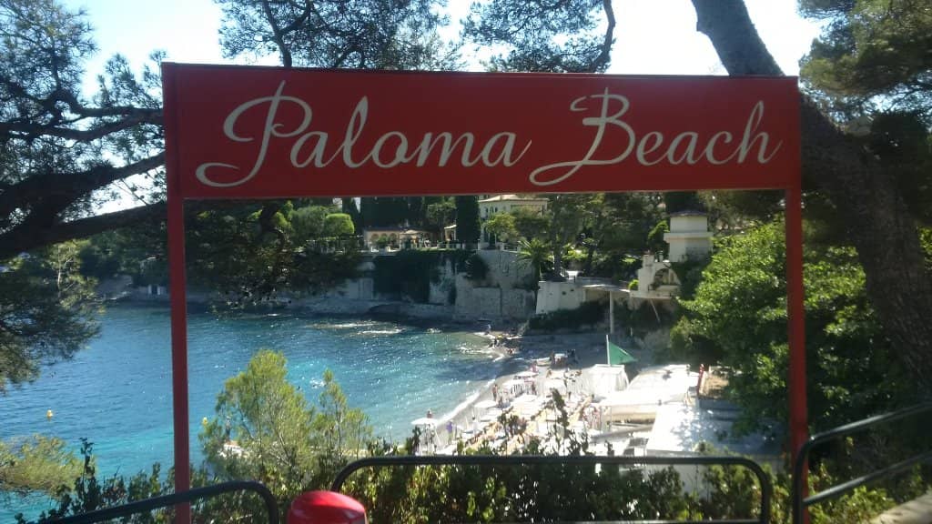 Seafood Dining with a View