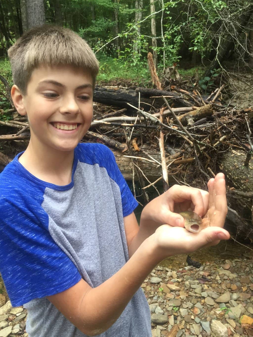 Fantastic Playground