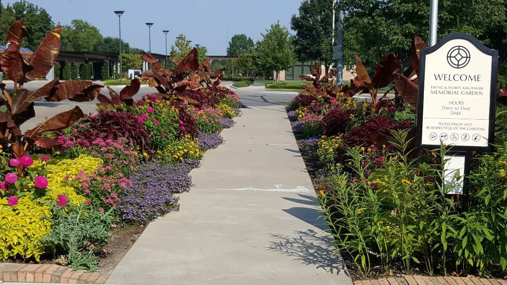 Vibrant Spring Blooms