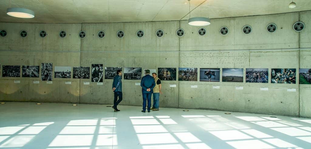 Modern Art Exhibitions