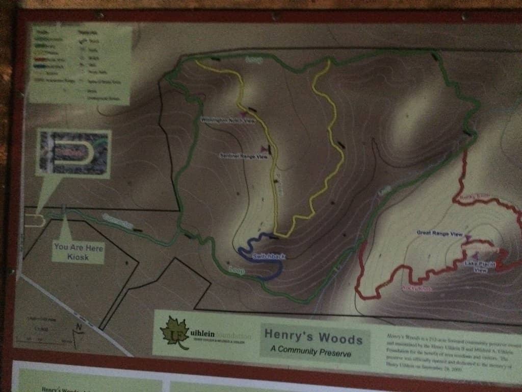 Dog-Friendly Paths