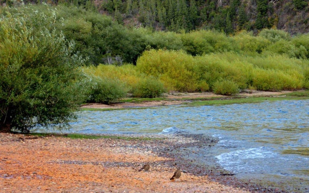 Mirror-like Lake Views