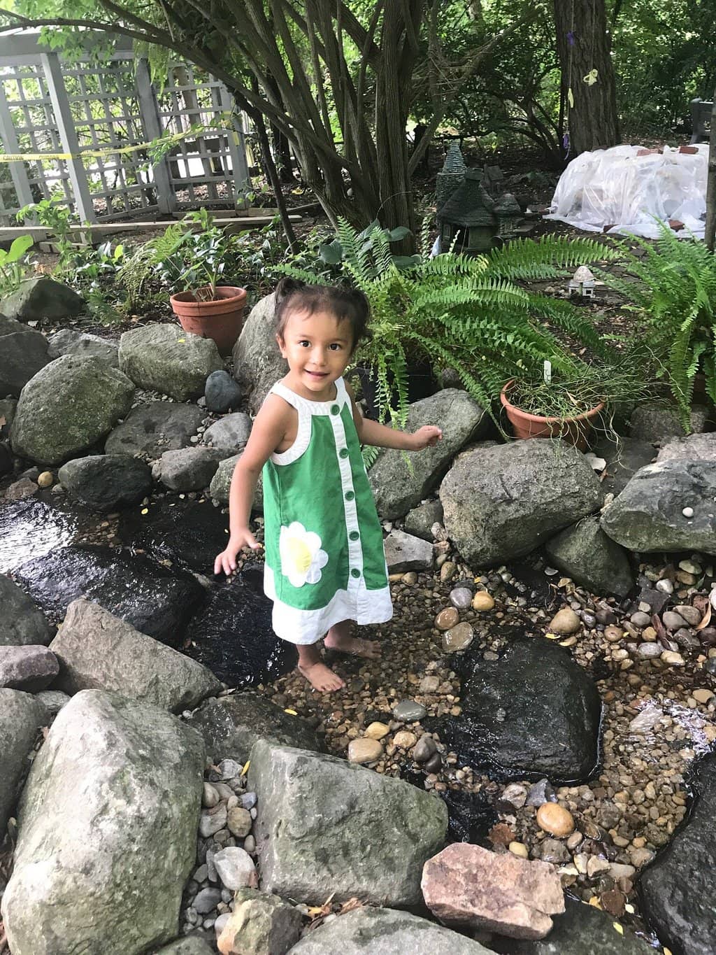 Curiosity Shop & Used Bookstore