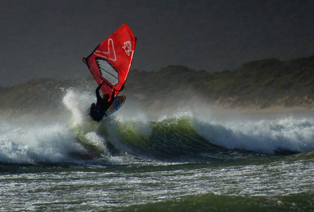 Wildlife Spotting at Springlawn