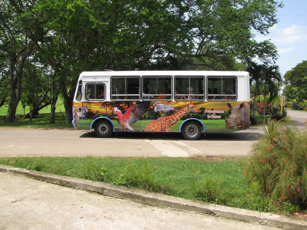 Safari Bus Ride