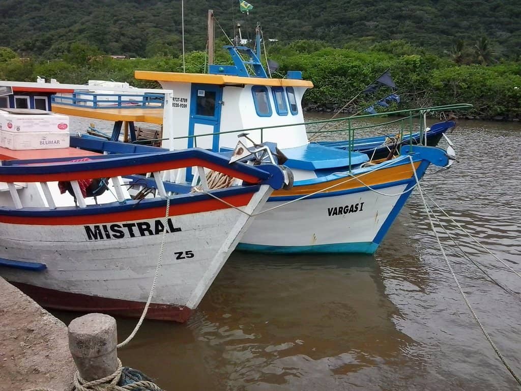 Abundant Fresh Seafood