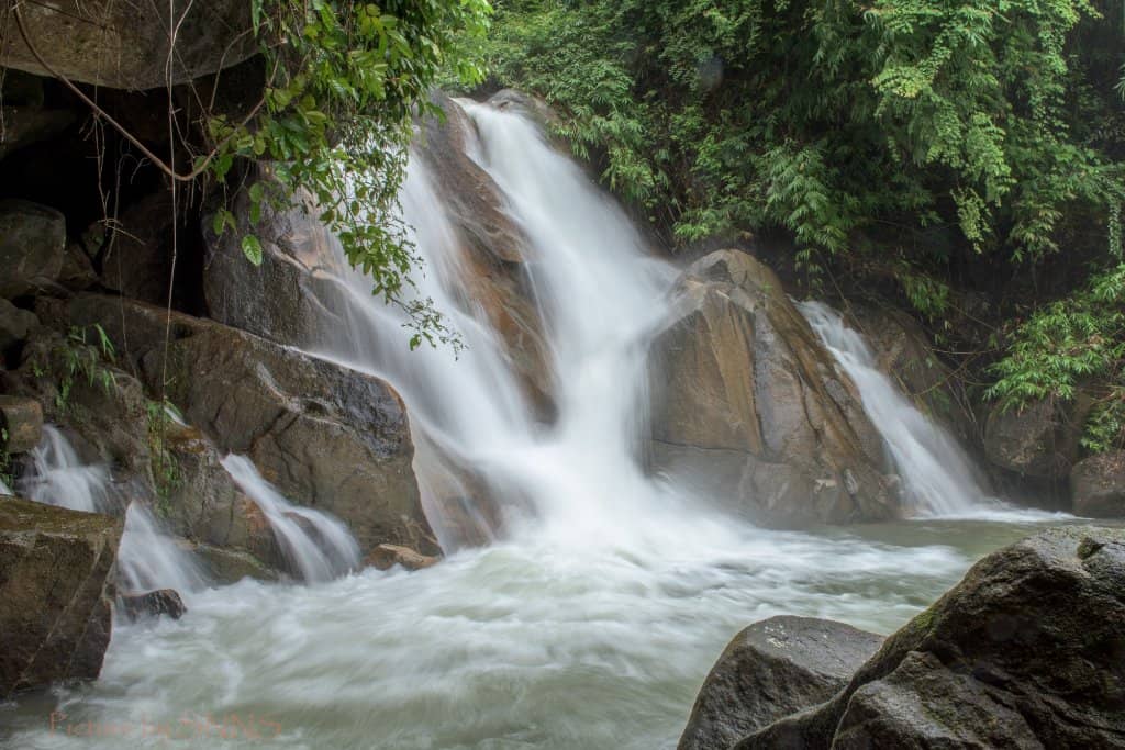 Clear Waters and Fish