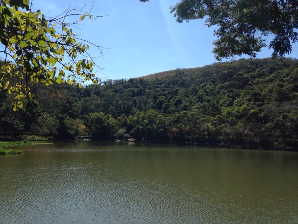 Serene Lake and Walking Paths