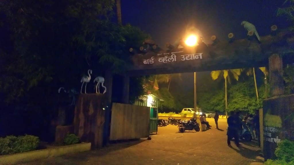 Kid-Friendly Play Area