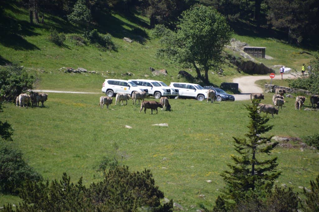 Traditional Pyrenean Cuisine