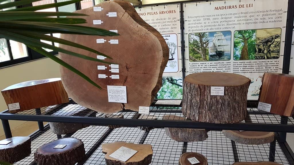 Educational Programs