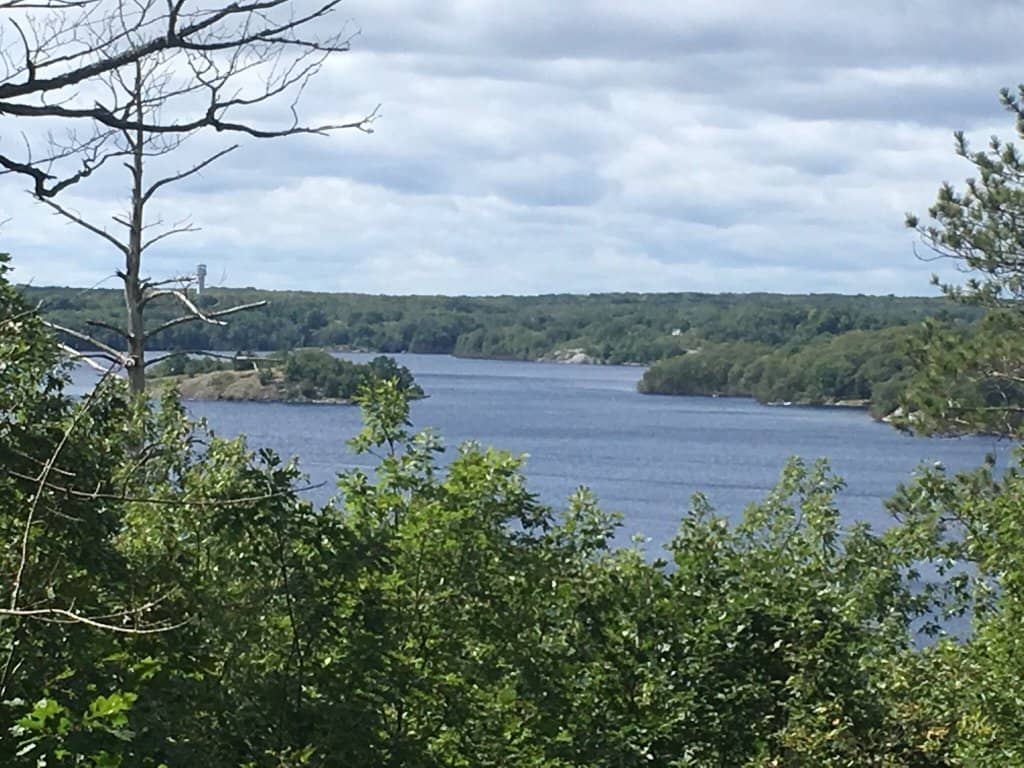 Model Railway Display