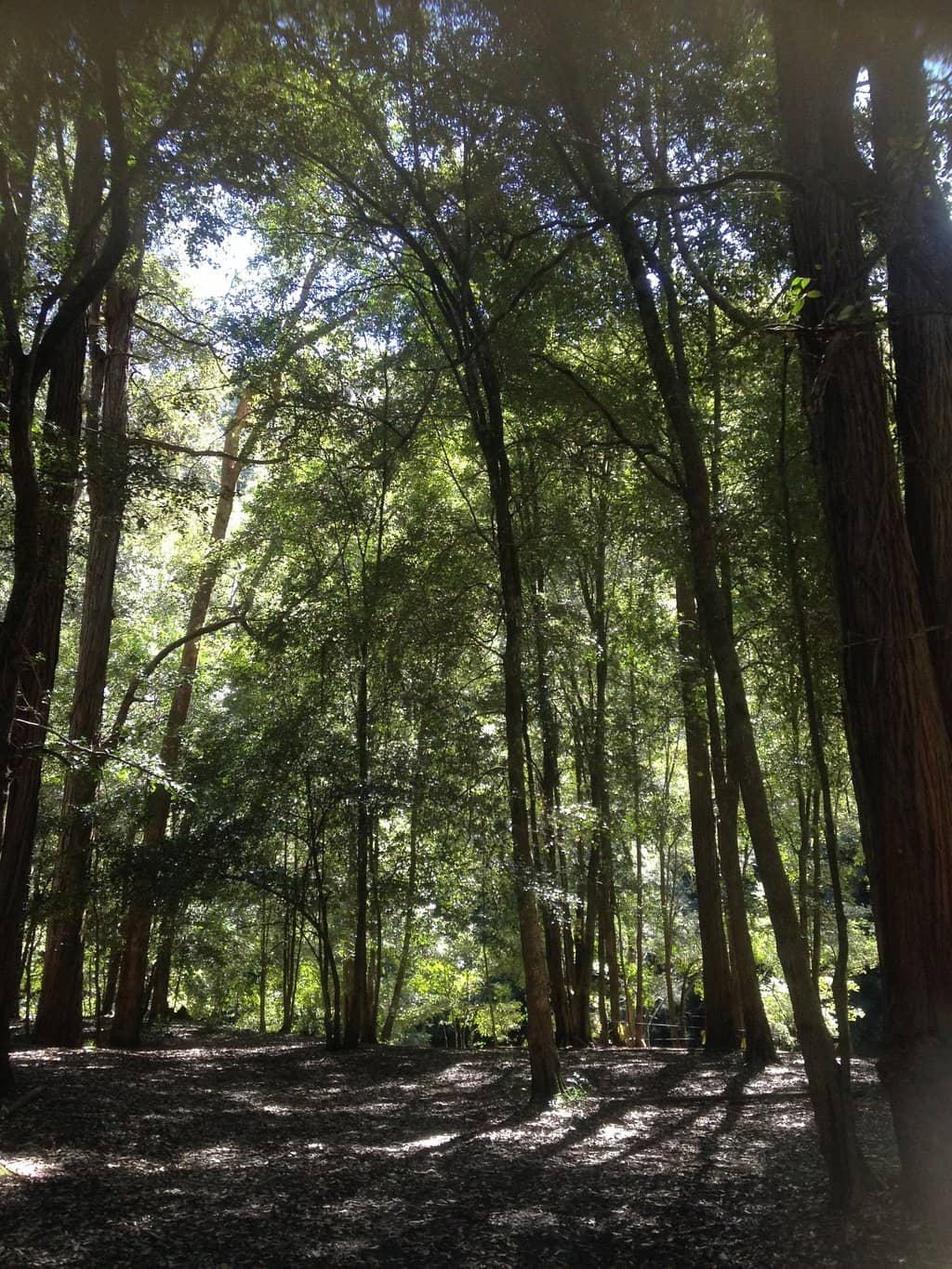 Vertical photo