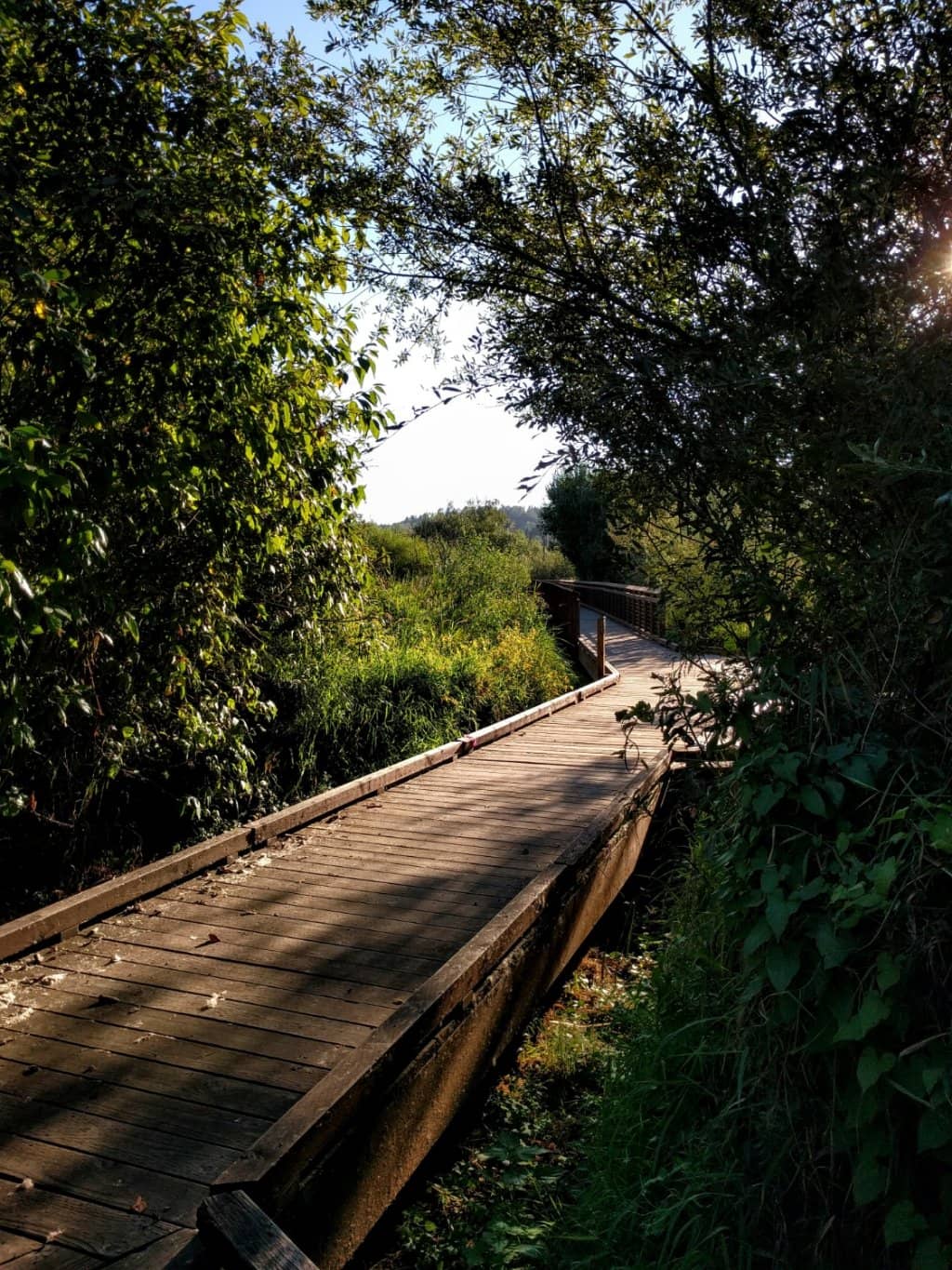 Interpretive Nature Trails