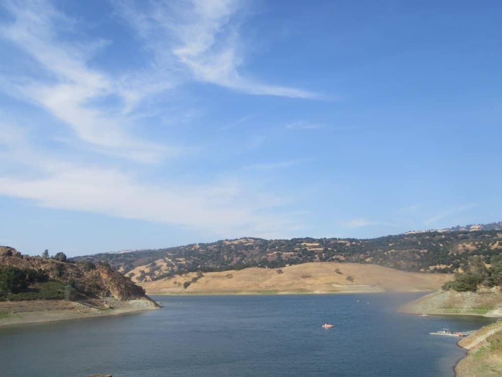 Birdwatching Opportunities