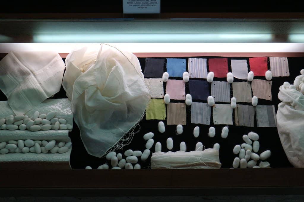 Ancient to Modern Displays