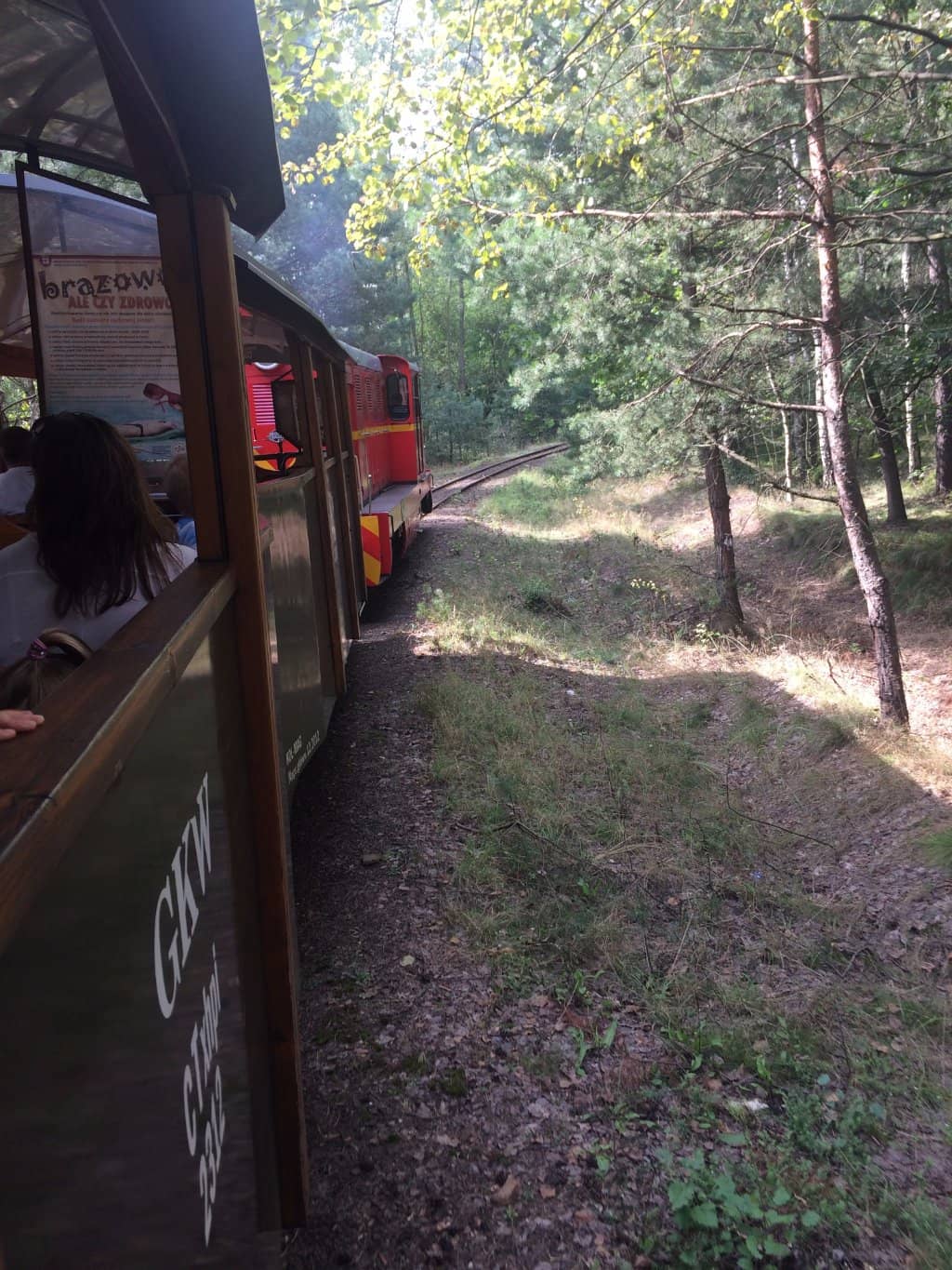The 'Ryś' Train