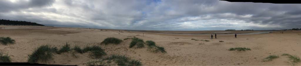 Fish and Chips by the Sea