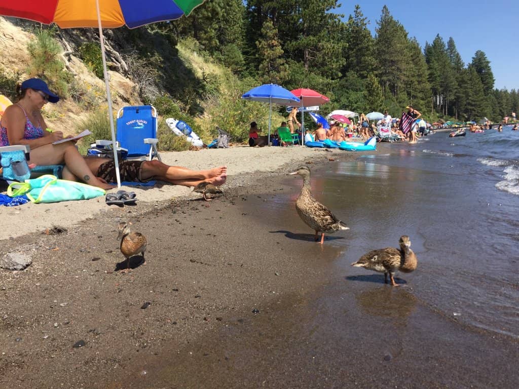 Shaded Afternoon Beach