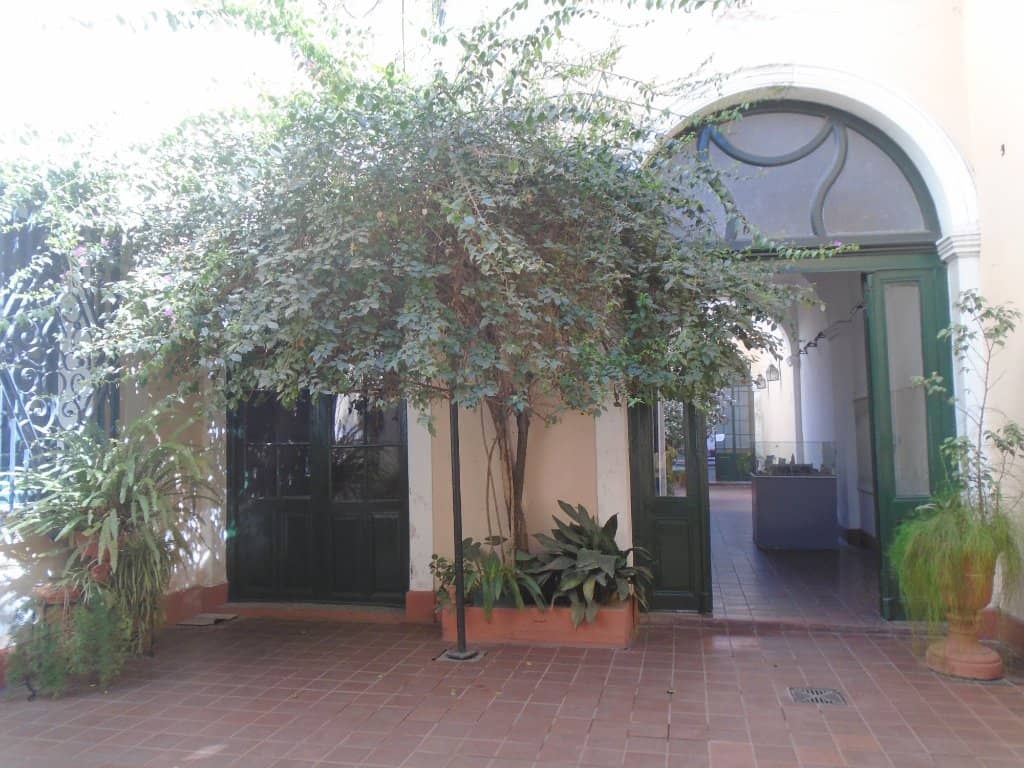 Patios with Plants and Trees