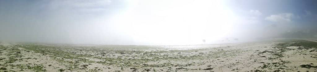 Abundant Shells