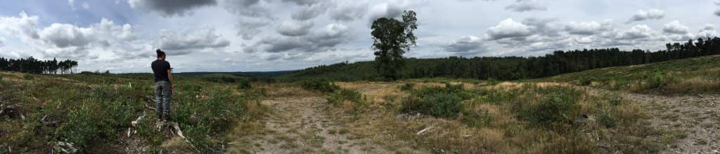 Castle Ring Hillfort