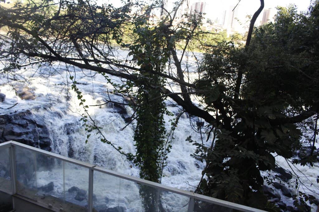 Piracicaba River Ecosystem