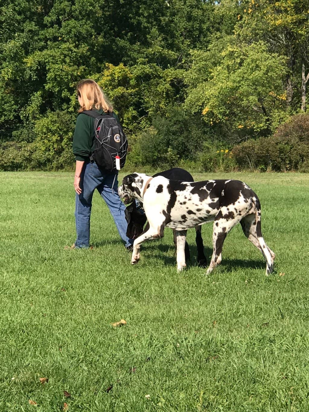 Playground & Nature Trails