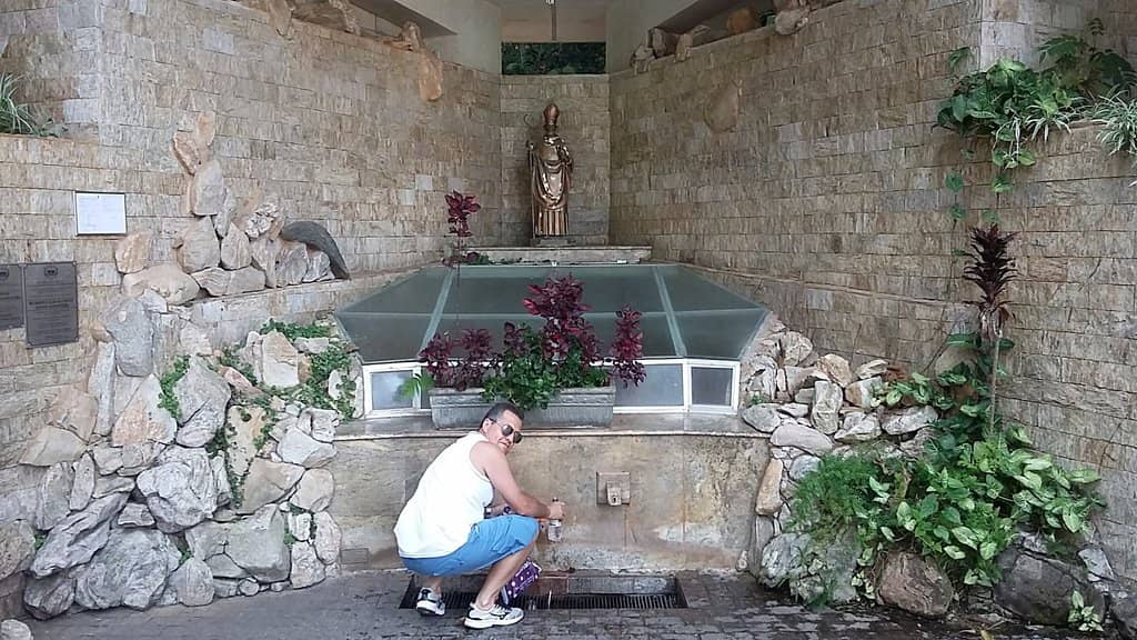 Lush Greenery and Lake