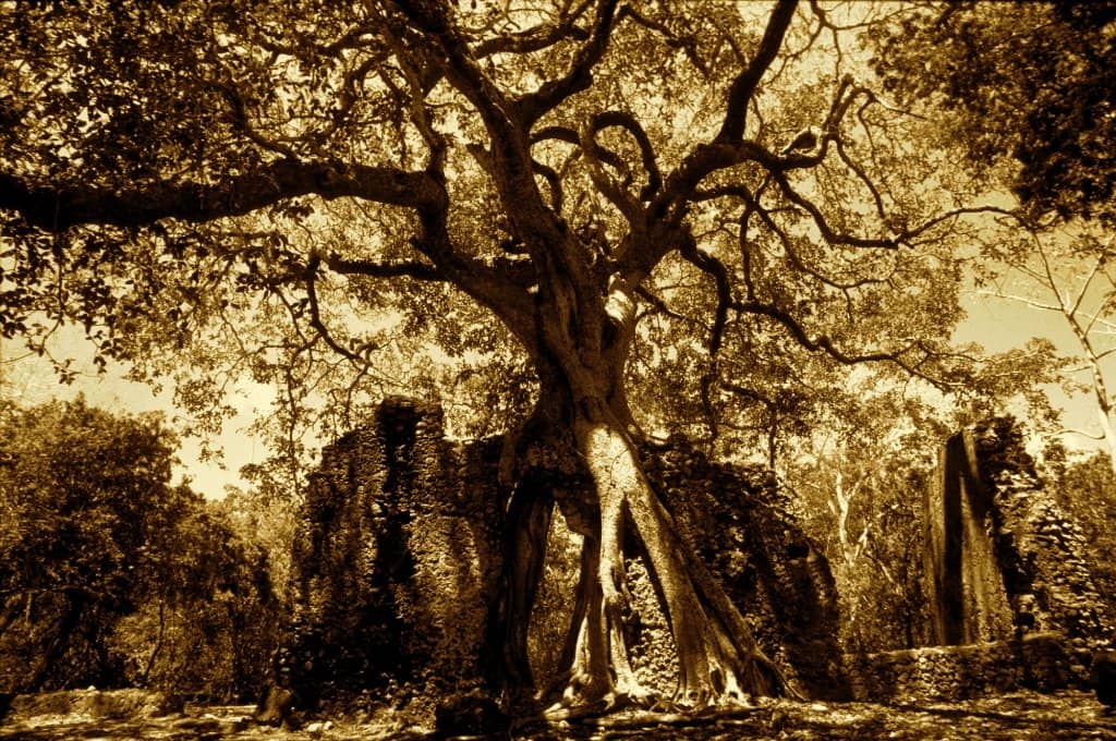 Vertical photo