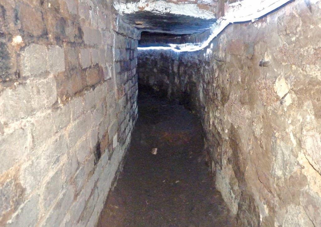 Passionate and Humorous Guides