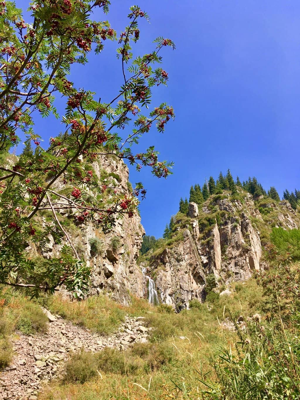 Vertical photo