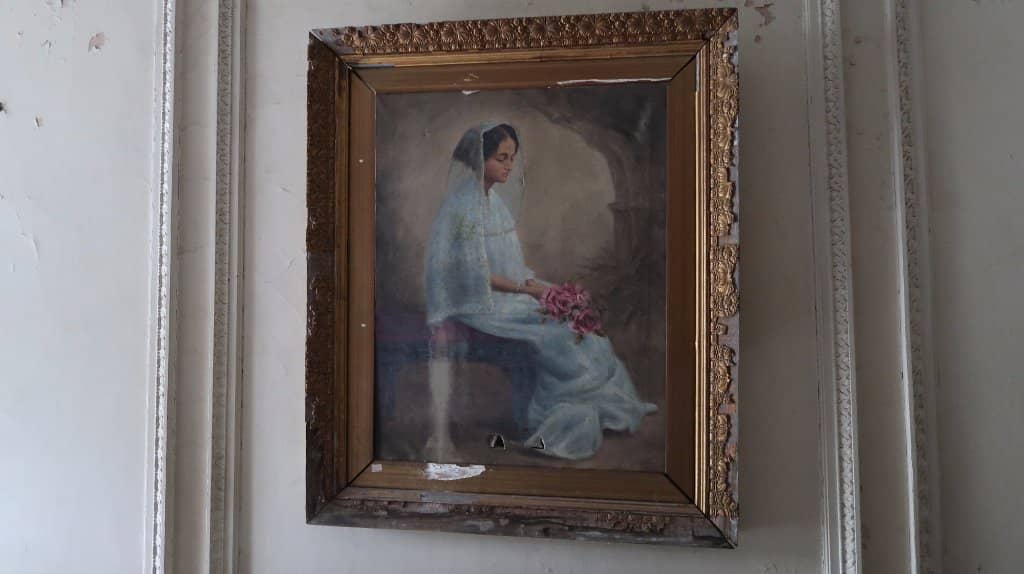 Sprawling Lawns and Gardens