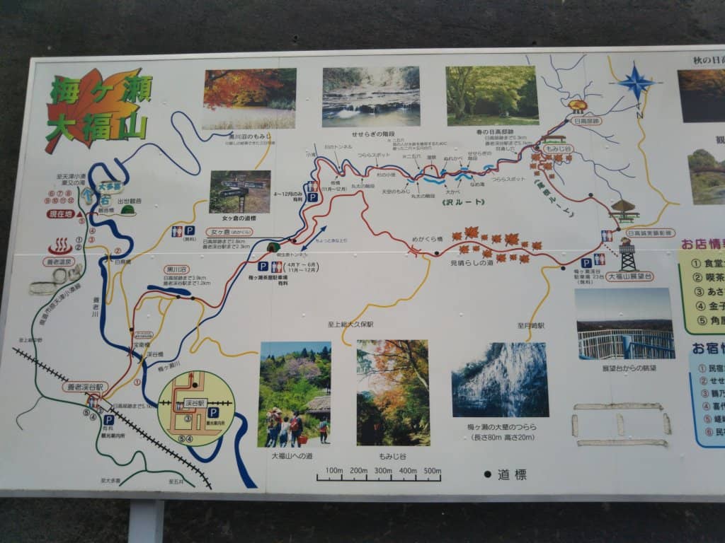 Scenic Walking Trails