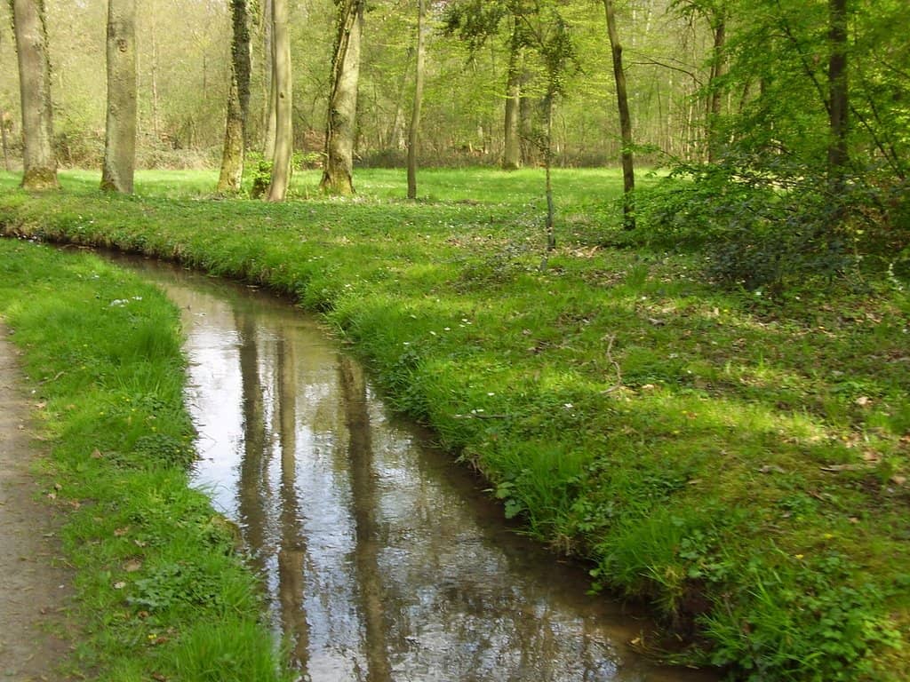 English Landscape Garden