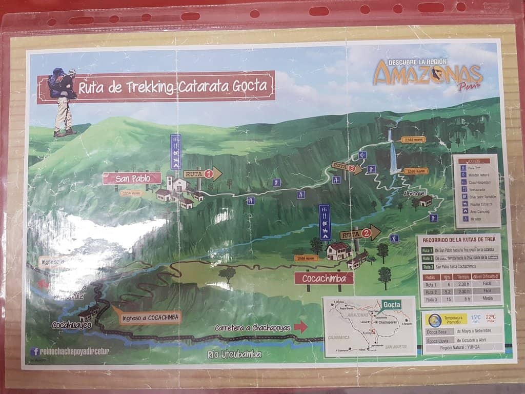 The Immersive Jungle Trek